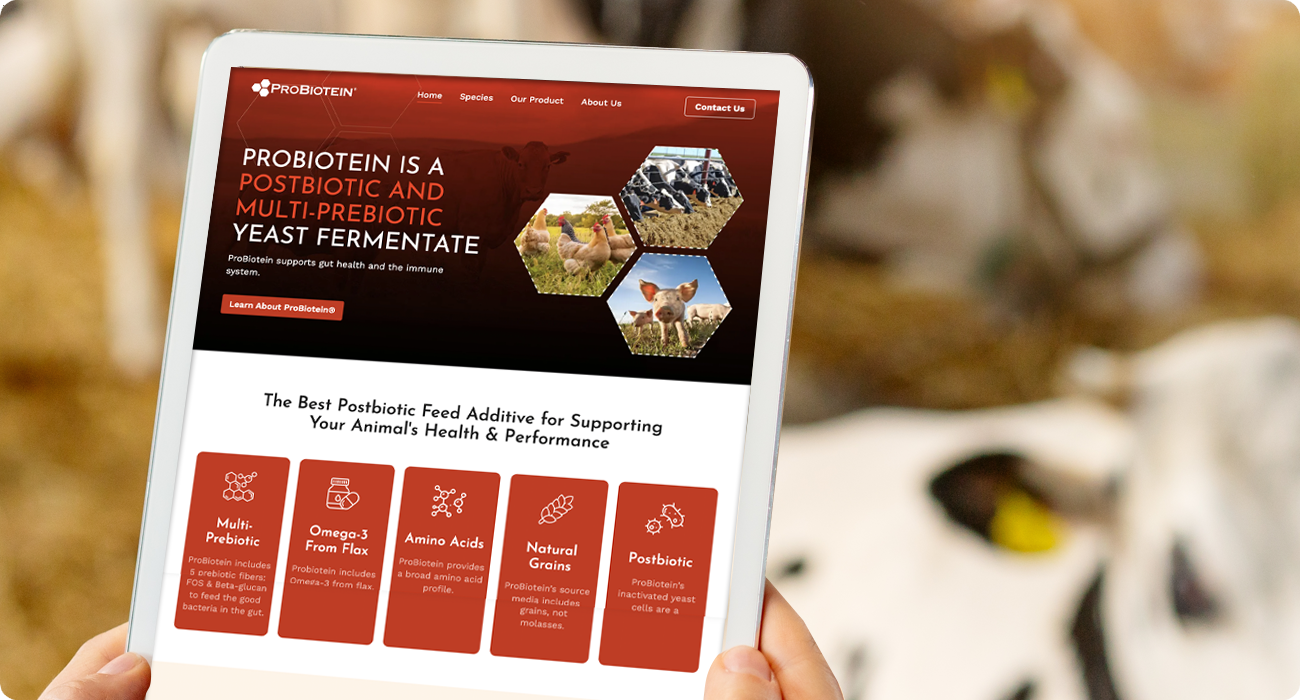 ProBiotein - Digital Services Developed by Digital 1 ProBiotein - Digital Services Developed by Digital 1