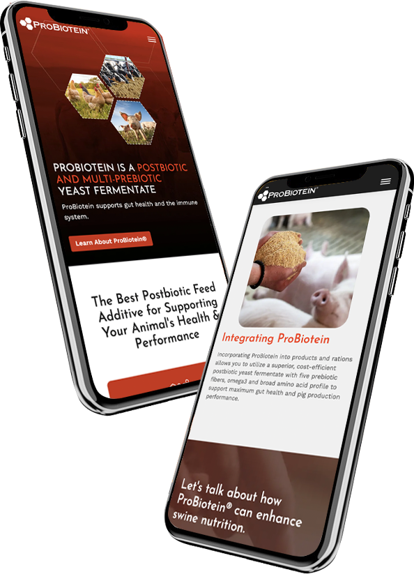 ProBiotein - Mobile Responsive WordPress Website Design & Development ProBiotein - Mobile Responsive WordPress Website Design & Development